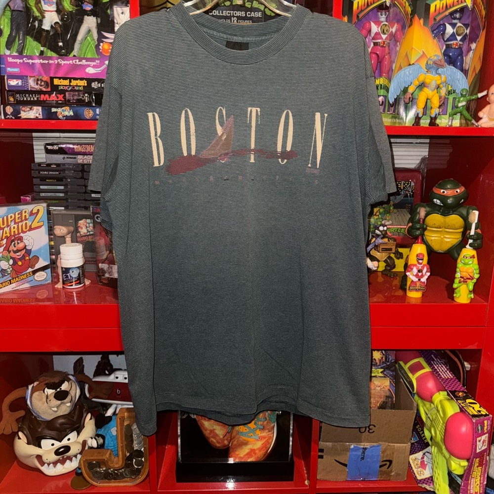Vinatge Boston,Mass x Tenesse river tee